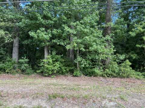 115 Colony Drive, Edenton, NC 27932