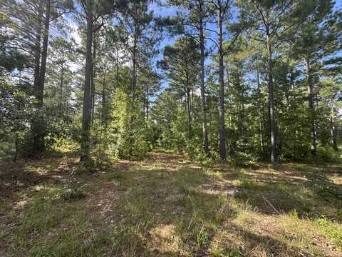 33ac Crosscreek Road, Edgefield, SC 29824