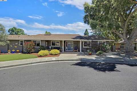 6536 Hanover Ct, Pleasanton, CA 94566