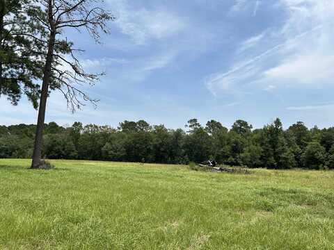 lot 378 East Madison Lake RD, Woodville, TX 75979