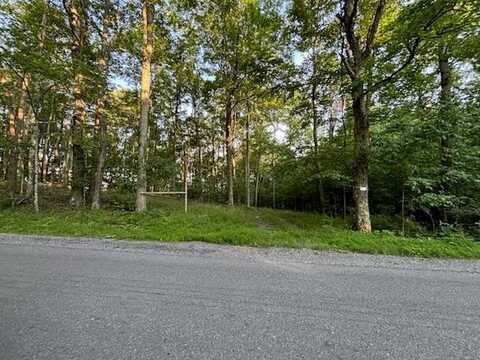 Ellison Ridge Rd, FLAT TOP, WV 25841