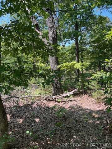 Minx Valley Drive, Roach, MO 65787