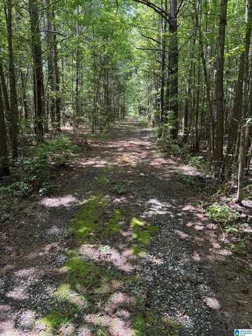 775 CONCORD CHURCH ROAD, TALLADEGA, AL 35160