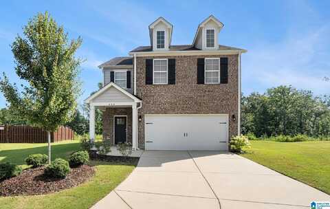 464 CROSSBRIDGE ROAD, CHELSEA, AL 35043