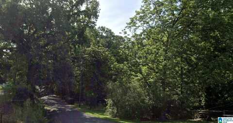 216 SELMA STREET, WARRIOR, AL 35180