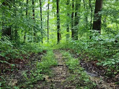 TBD State Road 54, Springville, IN 47462