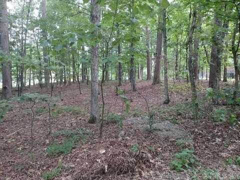 12 Acceso Circle, Hot Springs Village, AR 71909