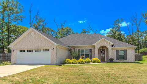 2091 Ferndale Cove, Alexander, AR 72002