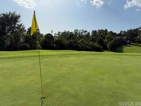 35 Jardinero Way, Hot Springs Village, AR 71909