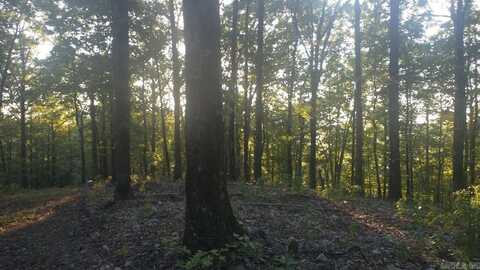 TBD E HWY 8 E, Glenwood, AR 71943
