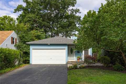 61 David Avenue, Brighton, NY 14620