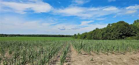 Rt-96A, Romulus, NY 14521