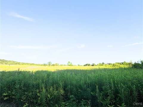 Tassell Hill Road S, Marshall, NY 13328