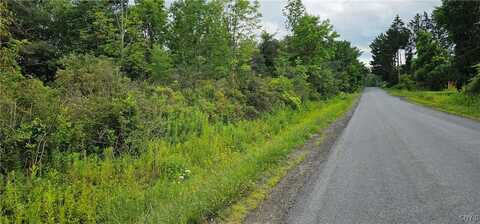 Michigan Hollow Road, Danby, NY 14883