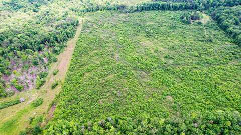 10 Acres County Rd 14, Flat Rock, AL 35966