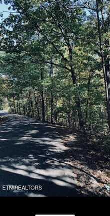 1301 E Brow Road, Signal Mountain, TN 37377