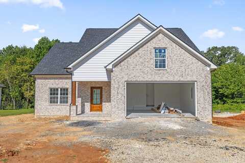 Lot 75 W Riley Street, Chatsworth, GA 30705