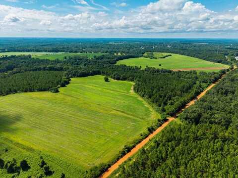 LOVEN MILL RD, RICHLAND, GA 31825