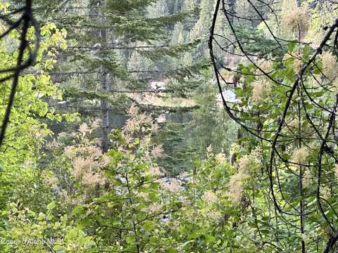 .29 Acres Hinds Dr, Saint Maries, ID 83861