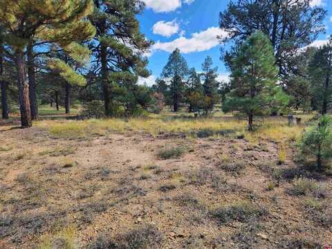 144 Mansions Circle, Pagosa Springs, CO 81147