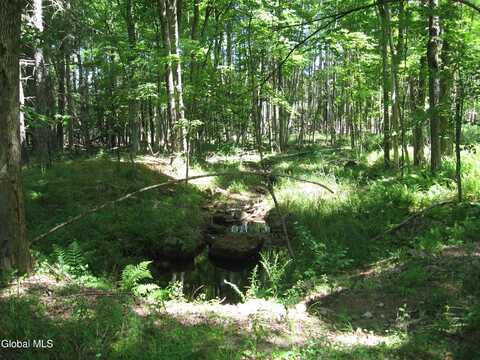 1260 Valentine Pond Road, Horicon, NY 12808