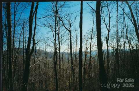 Damselfly Court lot: #35, Spruce Pine, NC 28777