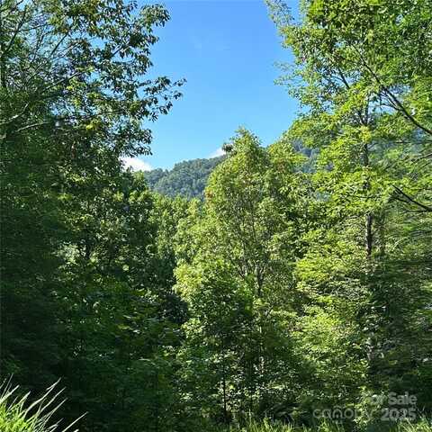 33 Nuthatch Lane unit: T-84, Black Mountain, NC 28711