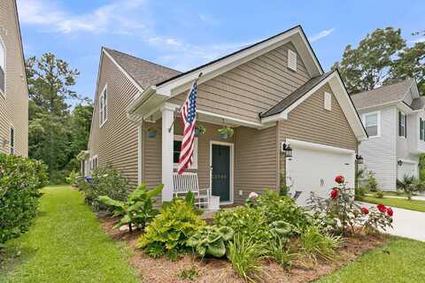 3789 Tupelo Branch Row, Mount Pleasant, SC 29429