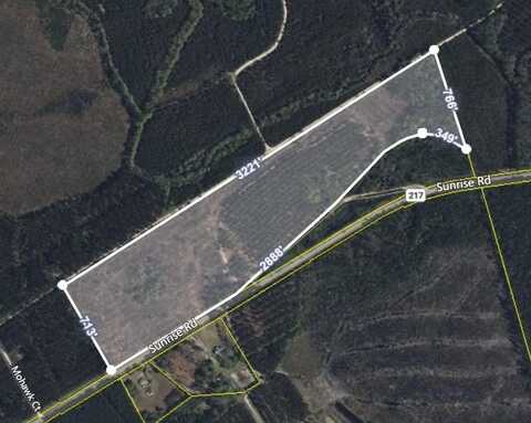 155 Yamacraw Drive, Smoaks, SC 29481