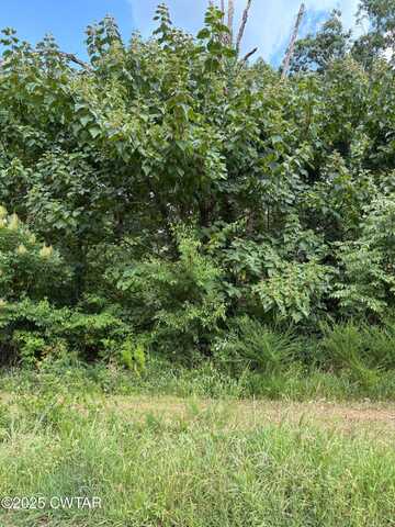 588 Marina Ridge Road, Holladay, TN 38341