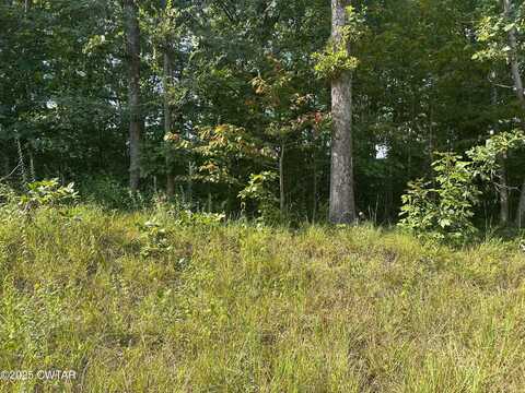 0 Virginia Street W, Holladay, TN 38341
