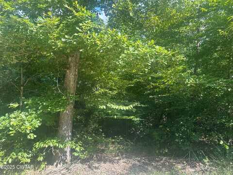 233 Mount View Estates Lane, Holladay, TN 38341