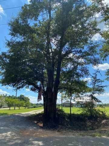 16+/-ac National Rd (16+-ac), Dothan, AL 36301