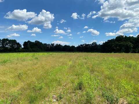 25.5+/-ac National Rd (25.5+-ac), Dothan, AL 36301