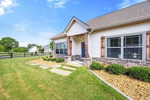 8 Maddox Lane, CHATSWORTH, GA 30705