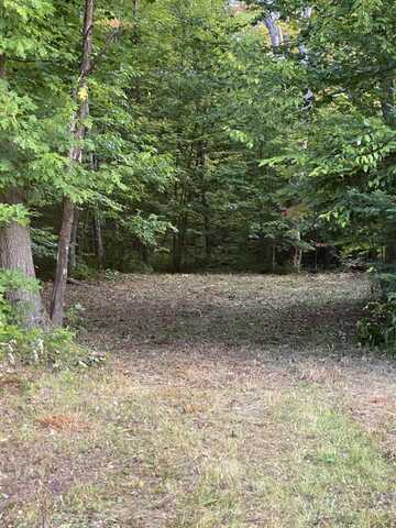 N Brasser RD, Muir, MI 49783