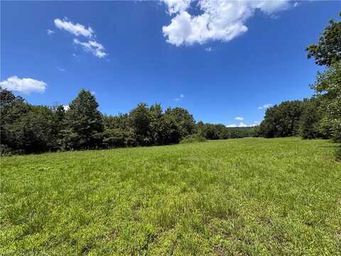 TBD W Highway 252, Hackett, AR 72937
