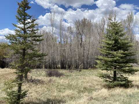 Sunflower Drive, Chama, NM 87520