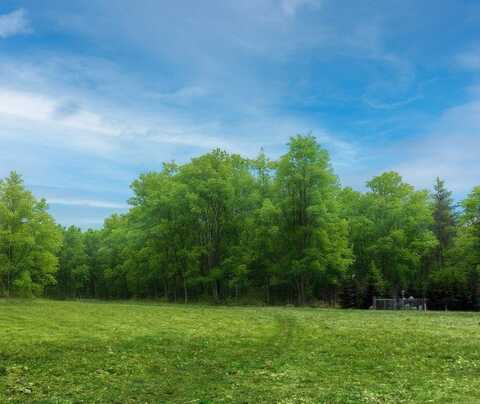 THOROUGHBRED Loop, Erie, PA 16506