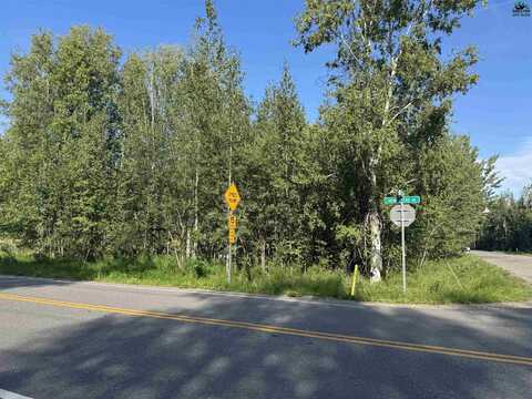 NHN HOMESTEAD DRIVE, North Pole, AK 99705