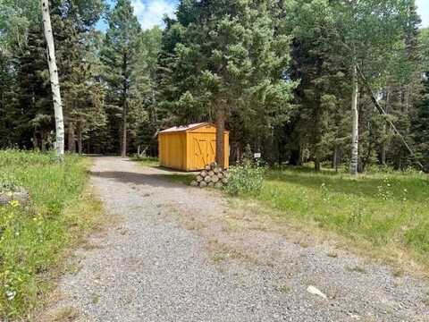 450 Hazel Lake Drive, Cimarron, CO 81220