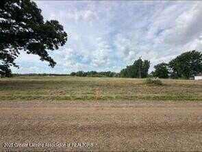 Parcel 1 Hite Road, Bancroft, MI 48414