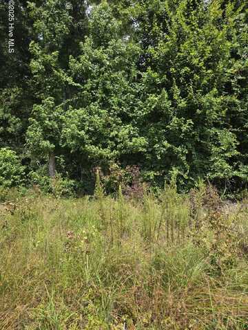 0 Chapman Drive-Lots 19 & 20 Drive, Grifton, NC 28530