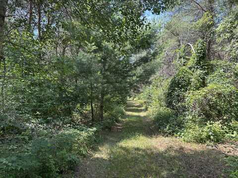 V/L Old Rugged Lane, Reed City, MI 49677