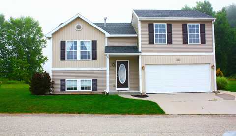 11707 Bear Meadow Drive SE, Alto, MI 49302