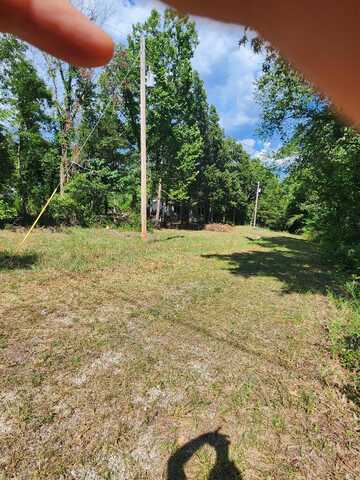 135 Sturgeon Street, Kissee Mills, MO 65680
