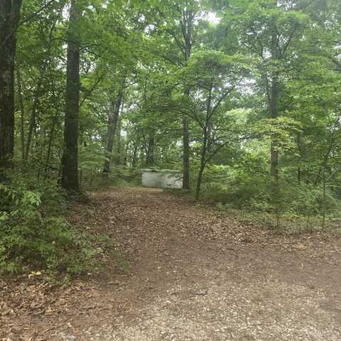 967 N Dade 219, Aldrich, MO 65601