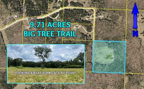 Tbd Big Tree Trail, Buffalo, MO 65622