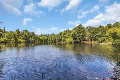 4891 FM 856 N, Troup, TX 75789