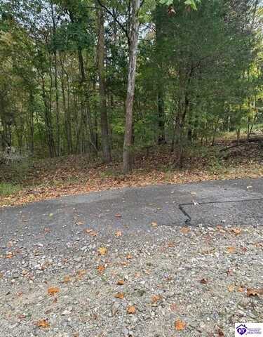971 Penny Royal Lane, Brandenburg, KY 40108